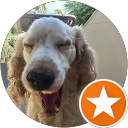 Jose Domínguez profile picture